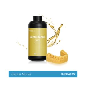 DENTAL MODEL REÇİNESİ